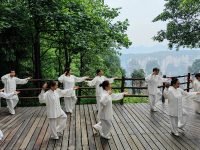 十年太极一场空？你可能练的只是“太极操”